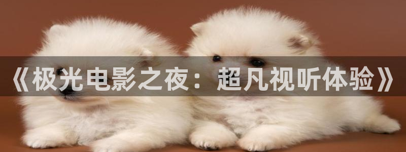 西瓜影院在线观看`：《极光电影之夜：超凡视听体验》