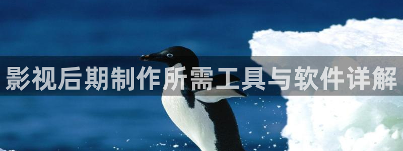 西瓜影院 mp4：影视后期制作所需工具与软件详解