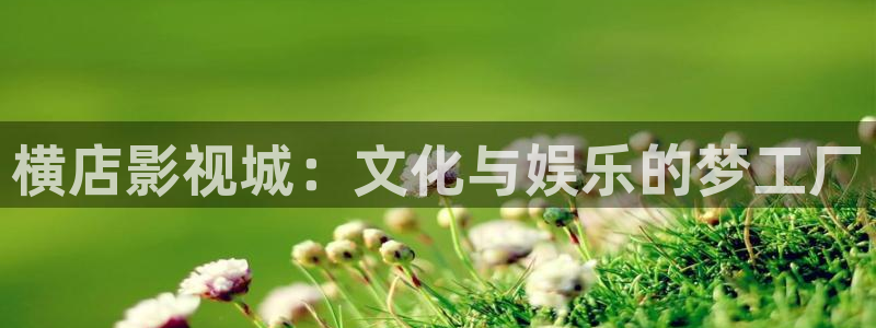 灵魂摆渡第一季西瓜影院：横店影视城：文化与娱乐的梦工厂