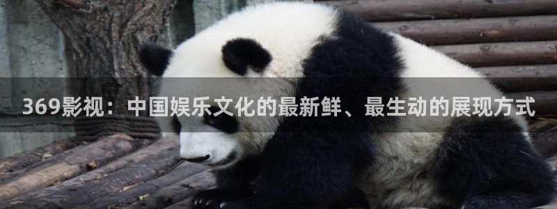 西瓜被窝电影院